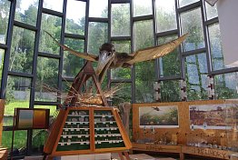 Přírodovědné muzeum Semenec