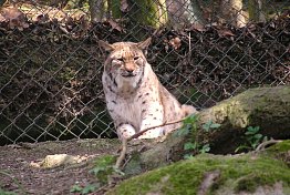 ZOO Hluboká