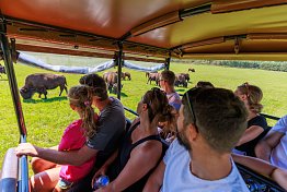 OFFROAD SAFARI JÍZDA