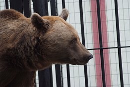 ZOO Hluboká