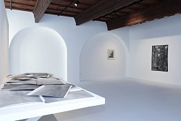 Alšova jihočeská galerie - Wortnerův dům, České Budějovice