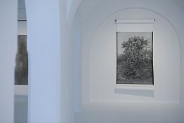 Alšova jihočeská galerie - Wortnerův dům, České Budějovice