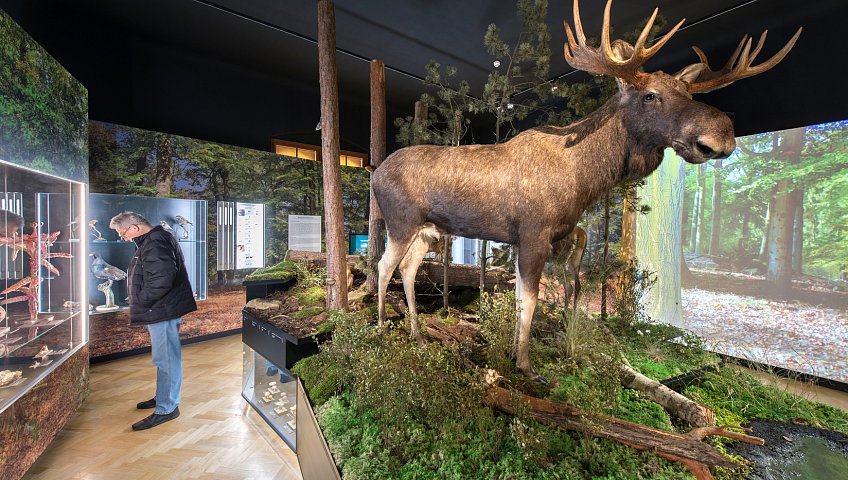 Südböhmisches Museum in České Budějovice
