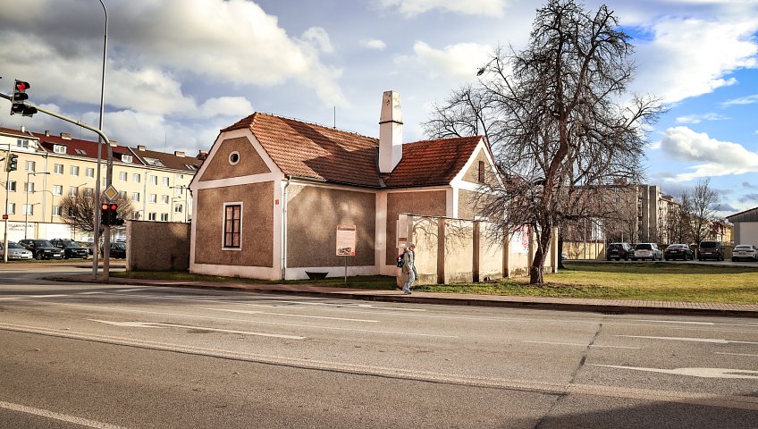 Museum of the Horse Crossing